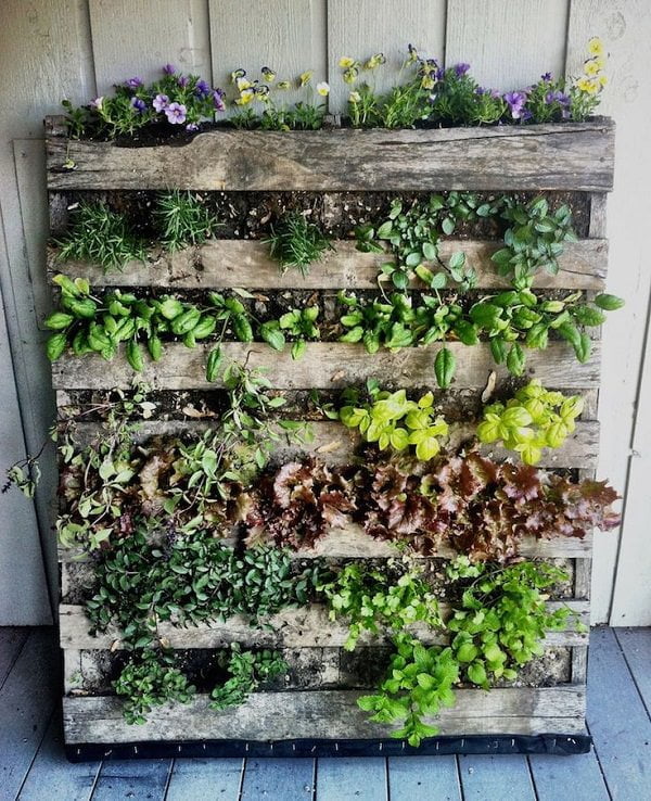 Jardins Verticais: Guia Definitivo para Transformar Espaços Urbanos em Refúgios Verdes