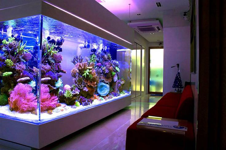 Móveis para Pets - Decoração para animais de estimação! Móveis para Pets - Decoração para animais de estimação!