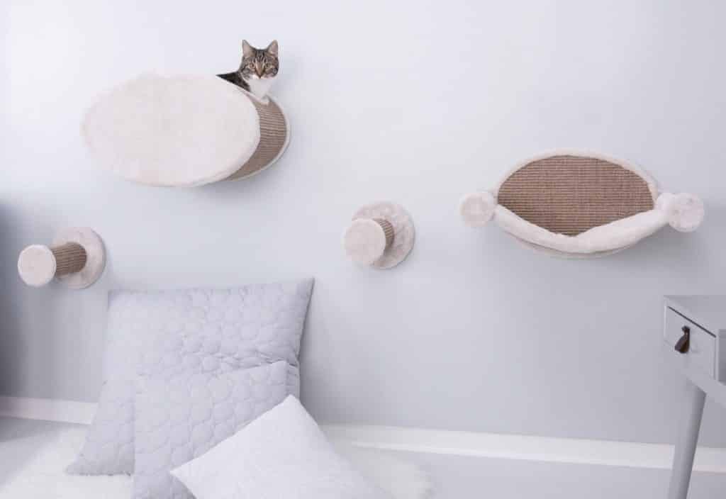 Mobiliário Animal - Decoração com móveis para animais de estimação! Mobiliário Animal - Decoração com móveis para animais de estimação!