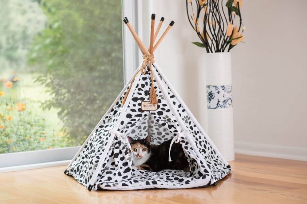 Mobiliário Animal - Decoração com móveis para animais de estimação!