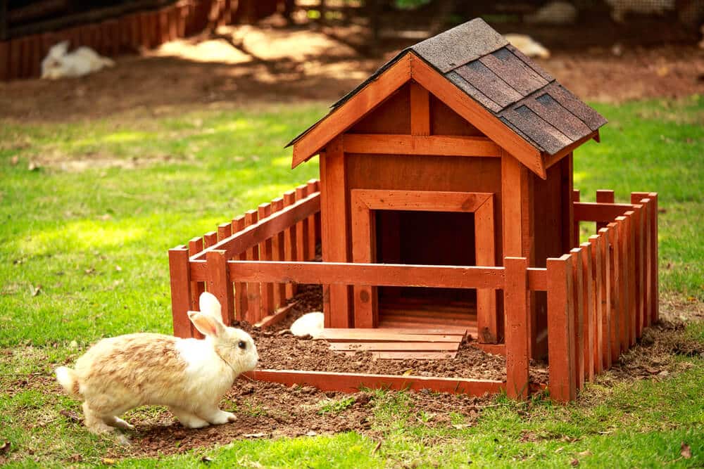 Mobiliário Animal - Decoração com móveis para animais de estimação! Mobiliário Animal - Decoração com móveis para animais de estimação!