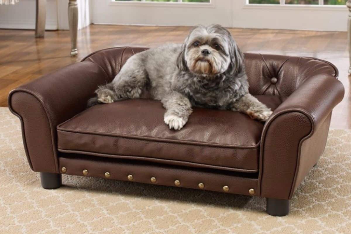 Mascotas ¡Muebles para gatos y perros!