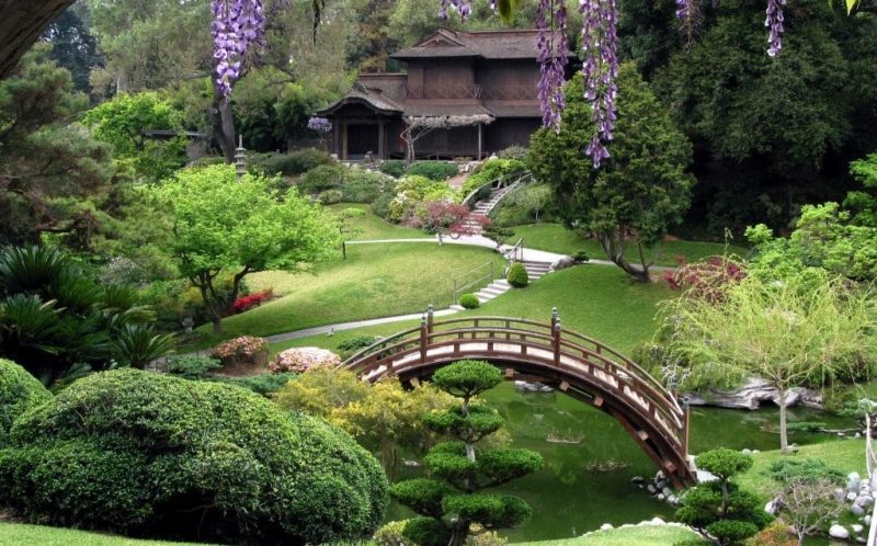 landscaping landscaping