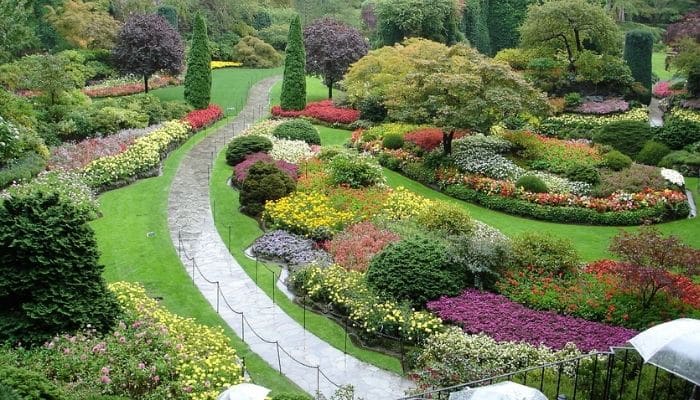 Jardinagem e Paisagismo - Como projetar um jardim?