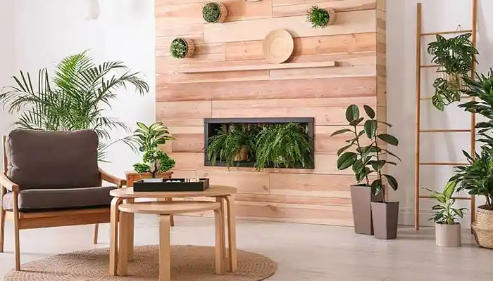 Tendências de plantas para interiores em 2022