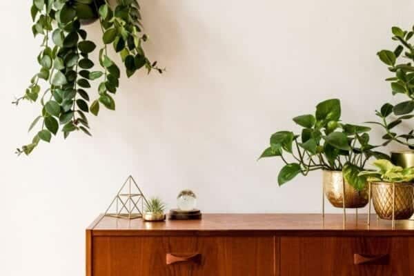 Decoração para casa - 5 Dicas fáceis e baratas de aplicar! Decoração para casa - 5 Dicas fáceis e baratas de aplicar!