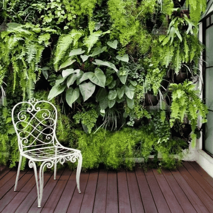 Jardim Suspenso - Mais frescor para sua varanda! 1 jardim vertical externo