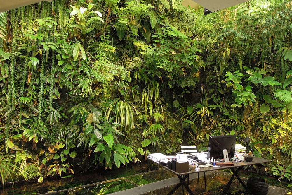 Dicas de Jardinagem - Como deixar seu jardim sempre bonito!