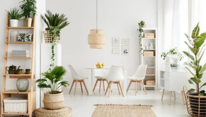 Decorando com Plantas - 10 dicas para decoração de interiores com plantas