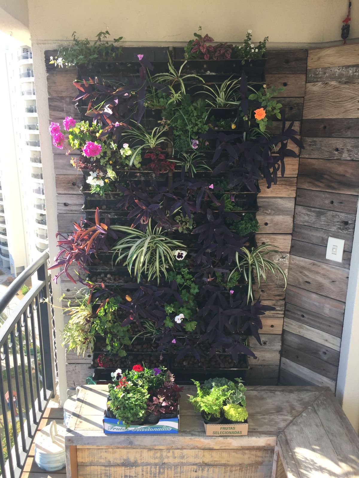 jardim vertical em apartamento