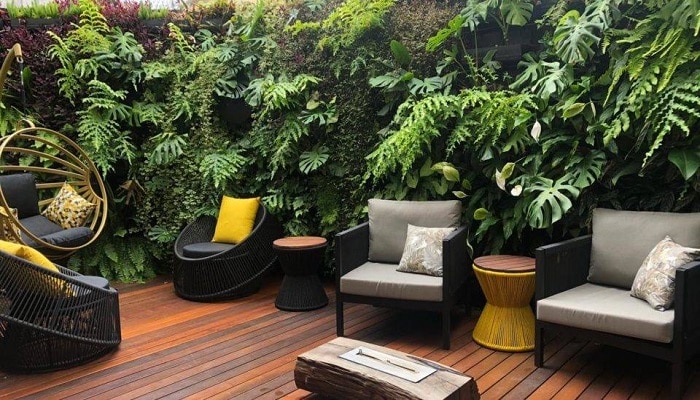 Dicas de porque ter um jardim vertical na sua casa.