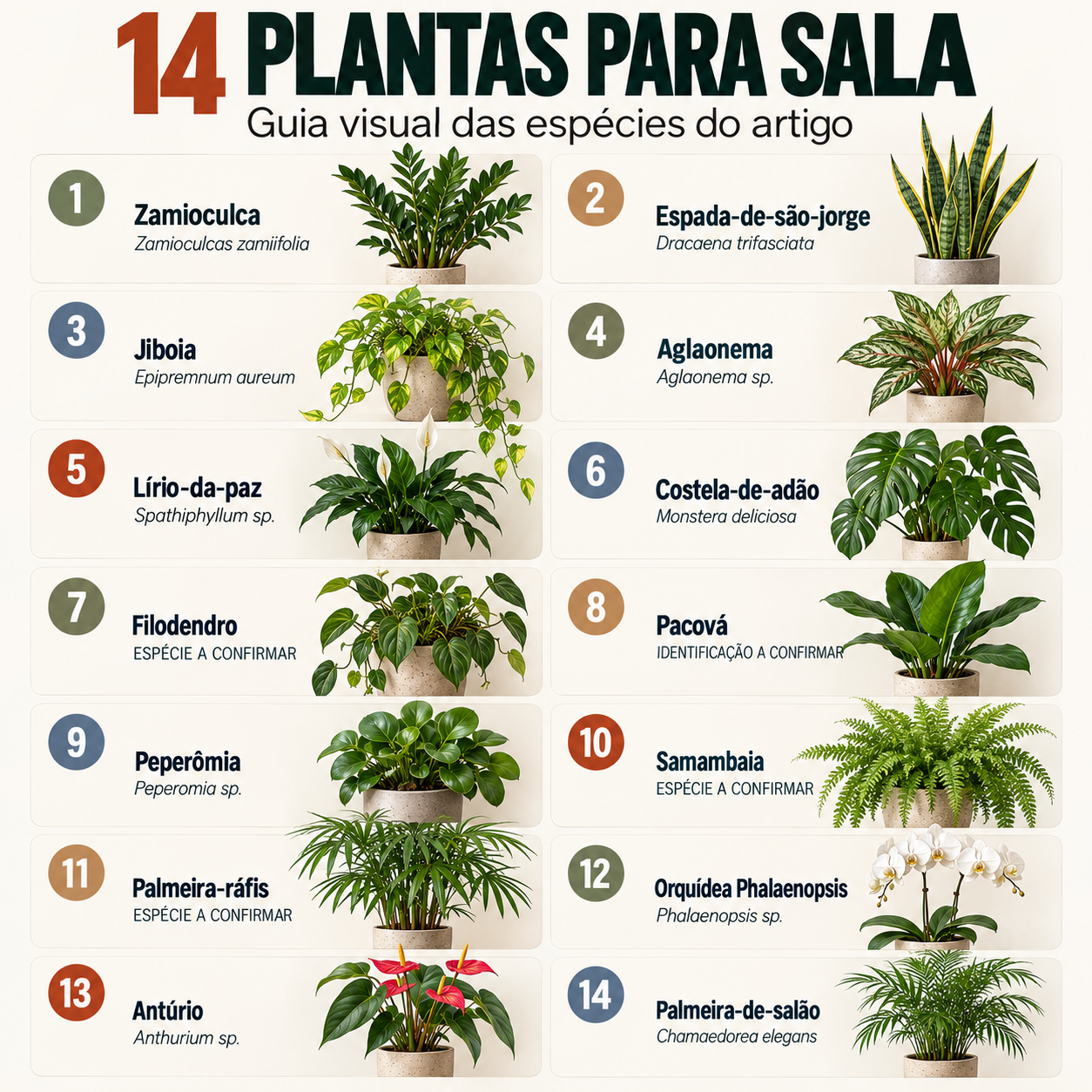 Guia visual com 14 espécies de plantas para sala identificadas pelo nome popular e botânico