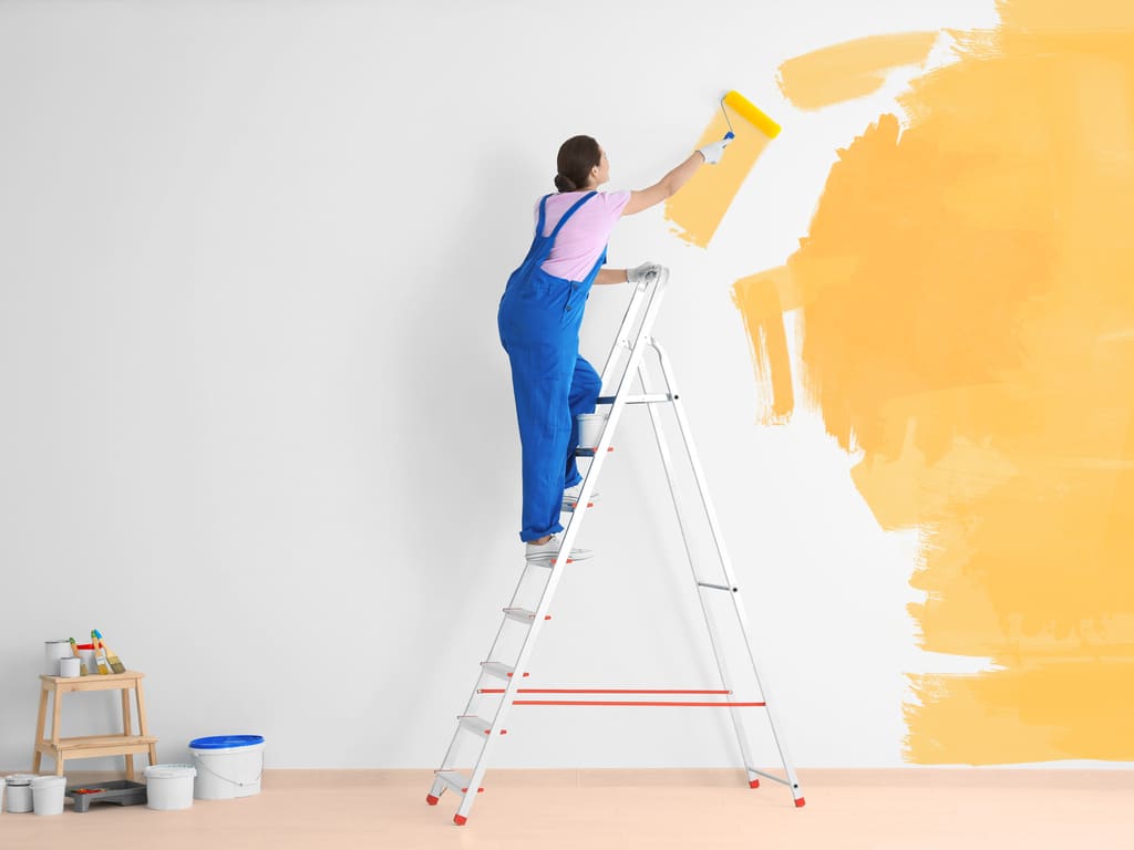 Primeira mão de tinta pintar11