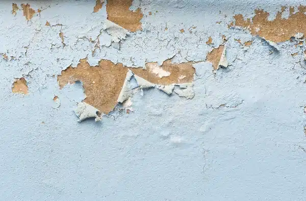 Afinal, como pintar uma parede? pintar14