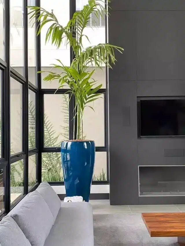Os 3 itens de decoração mais subestimados que deixarão sua casa deslumbrante! 5 Os 3 itens de decoração mais subestimados que deixarão sua casa deslumbrante!