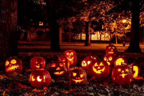 Qual é o propósito de usar abóboras para celebrações de Halloween? hallo3