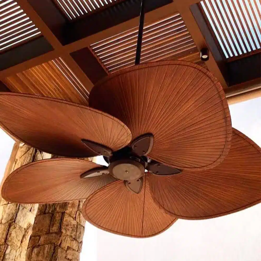 O teto do ambiente ventilador9