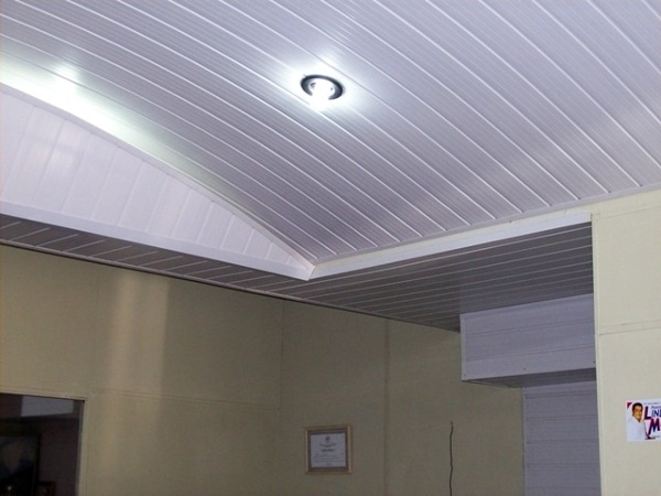 Umidade forropvc6