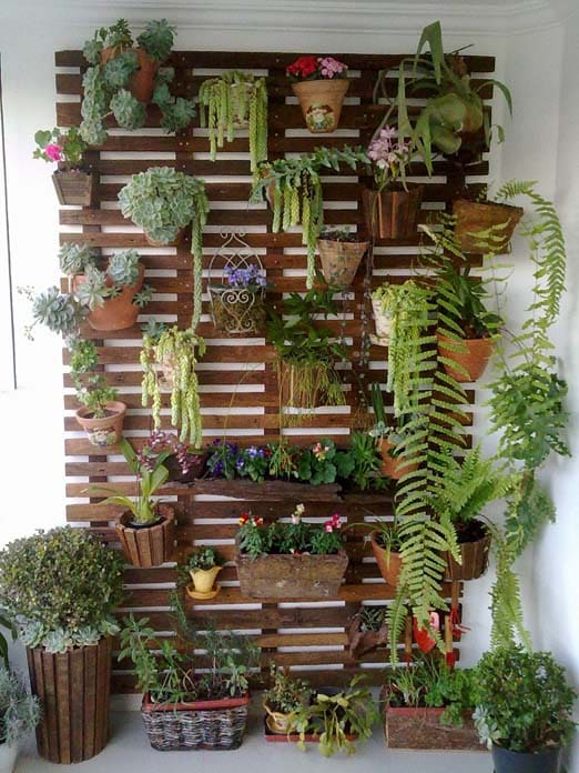 Em jardins verticais Em jardins verticais