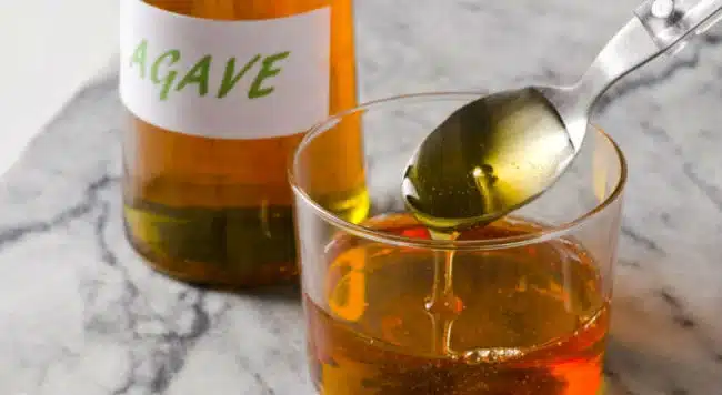 Agave - Conheça essa planta universal em 4 passos ! 2 agave16