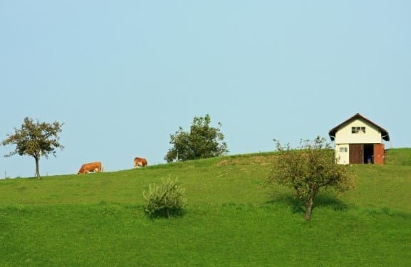 Casa na Roça Simples: Uma Fuga Para o Estilo de Vida Rural