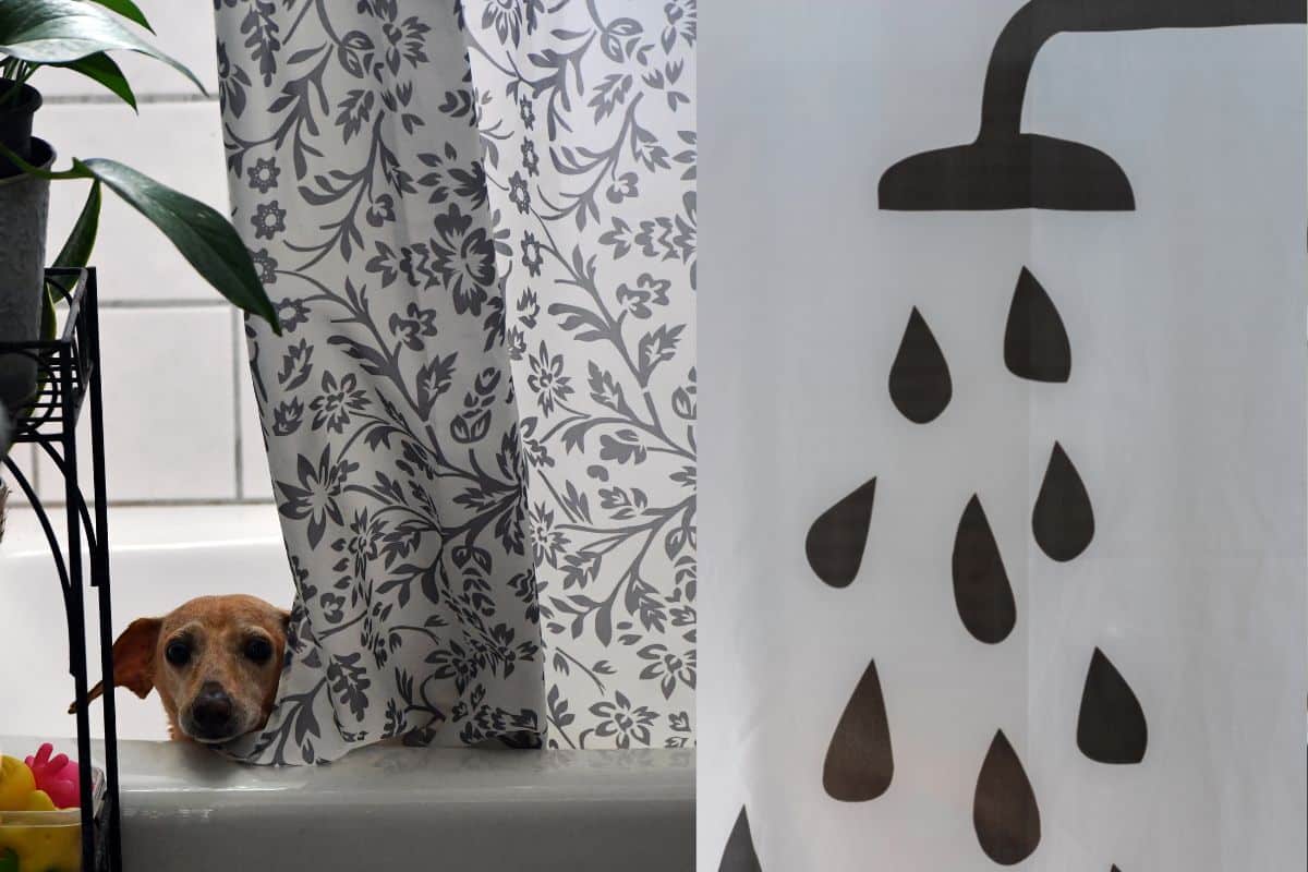 Cortina de banheiro: escolha a melhor opção para seu ambiente!