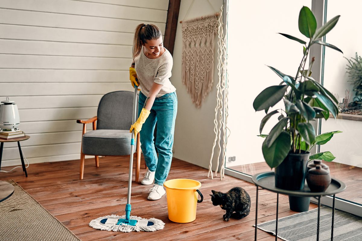 decoracao de casa leve