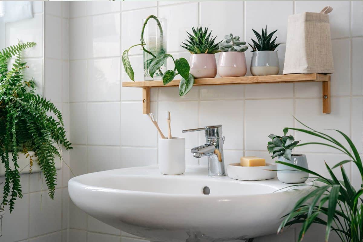 Prateleiras de Banheiro: Organize com Estilo! 1 Prateleiras de Banheiro — Organize seu espaço com estilo, descubra como transformar sua decoração!