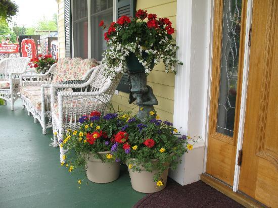 Decoração com plantas