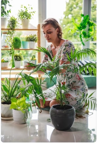 Decorando com plantas: como criar ambientes vivos e saudáveis?