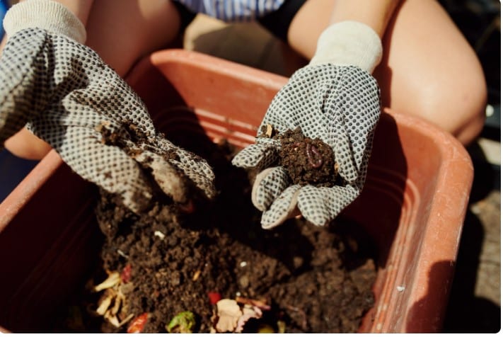 Mantenha o Solo Saudável Jardins Criativos - Ideias e Dicas para Transformar seu Espaço Exterior
