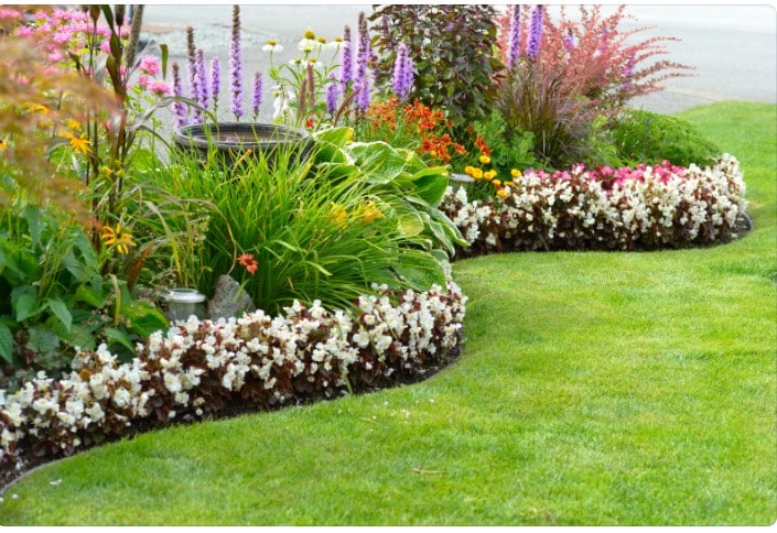 Planeje o Seu Jardim Jardins Criativos - Ideias e Dicas para Transformar seu Espaço Exterior