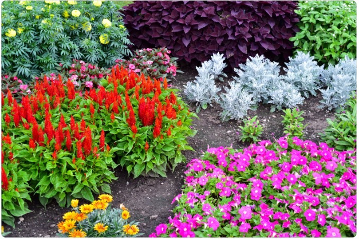Jardins Criativos - Ideias e Dicas para Transformar seu Espaço Exterior 3 Jardins Criativos - Ideias e Dicas para Transformar seu Espaço Exterior