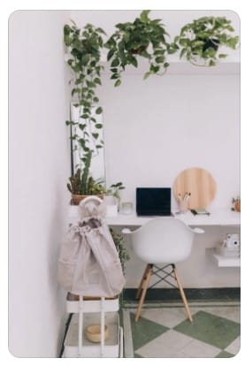 Use plantas para trazer vida ao ambiente