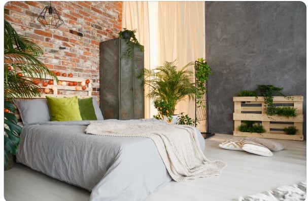 Decoração com plantas: Espécies ideais para ambientes internos. 1 Decoração com plantas: Espécies ideais para ambientes internos.