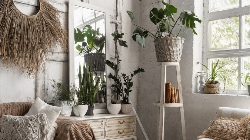 5 Dicas de Decoração Brasileira Para Transformar Sua Casa! 2 Decoração Boho com Plantas