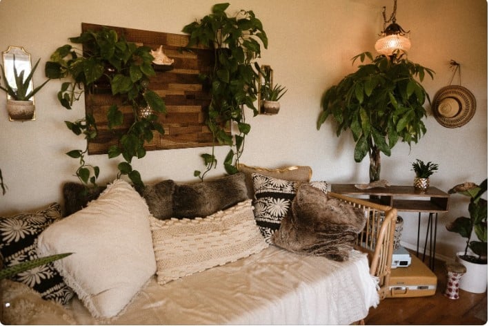 Plantas Ideais para Ambientes Internos. 2 Plantas Ideais para Ambientes Internos.