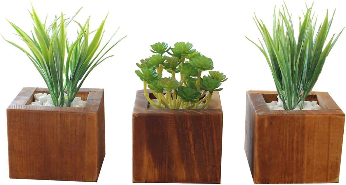 Vasos de Plantas - Uma Combinação de Beleza e Função na Cozinha! 2 Vasos de Plantas - Uma Combinação de Beleza e Função na Cozinha!