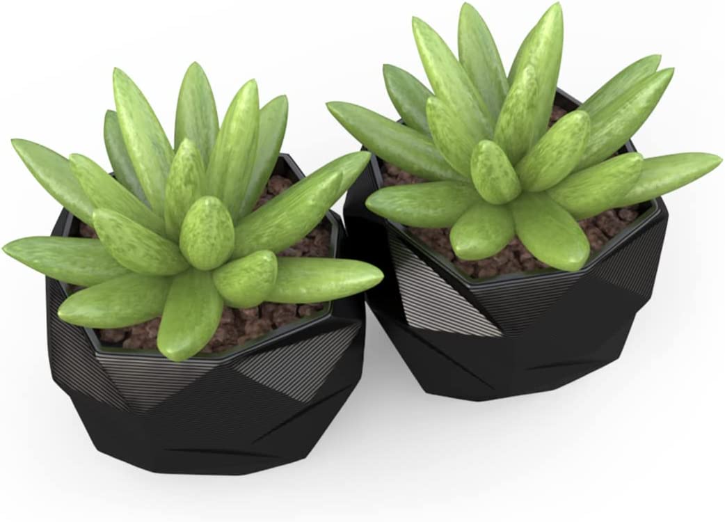 Vasos de Plantas - Uma Combinação de Beleza e Função na Cozinha! 4 Vasos de Plantas - Uma Combinação de Beleza e Função na Cozinha!