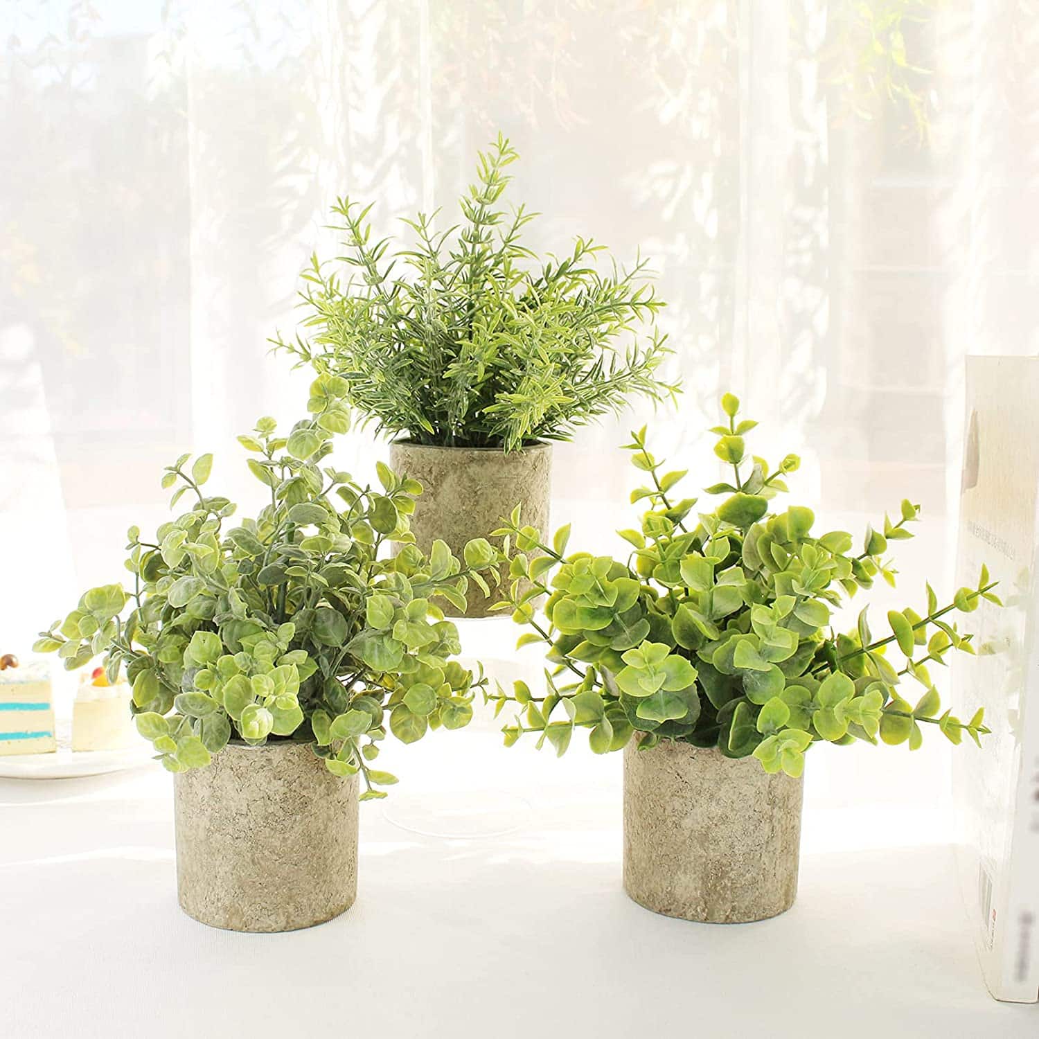 Vasos de Plantas - Uma Combinação de Beleza e Função na Cozinha! 1 Vasos de Plantas - Uma Combinação de Beleza e Função na Cozinha!