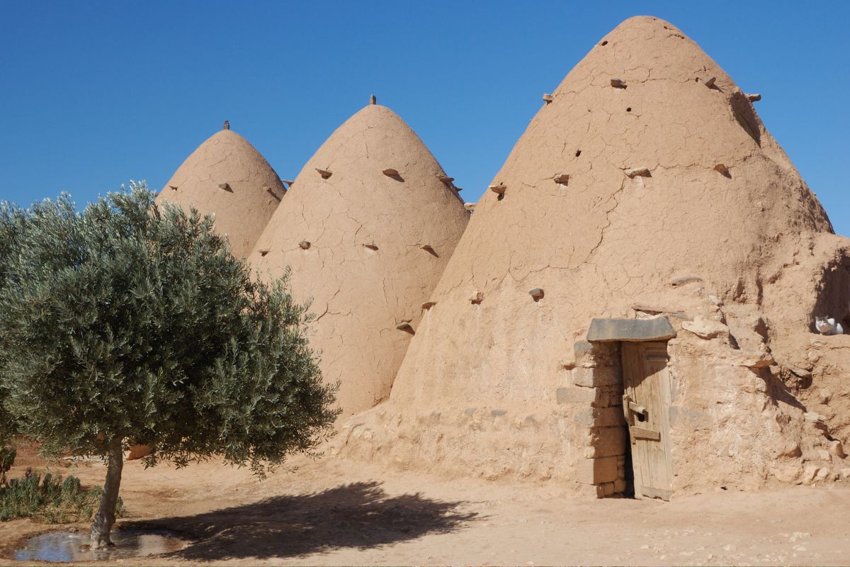 Arquitetura Vernacular: Descubra as Curiosidades das Construções Tradicionais