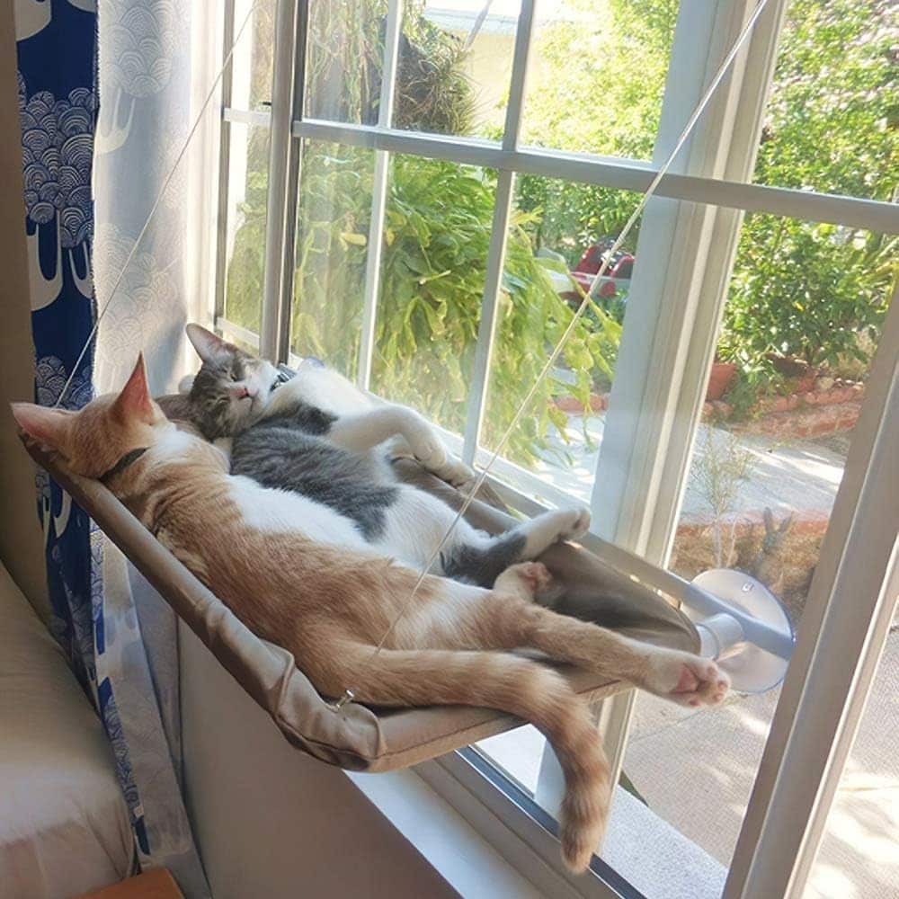 Decoração Sustentável: Como Reciclar Objetos para o Uso do seu Pet 2 Como Fazer uma Cama Suspensa para Gatos: DIY