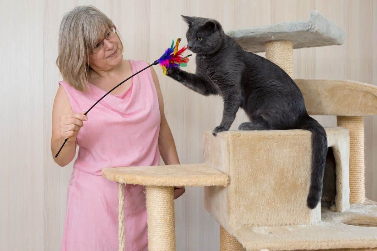 DIY: Como Fazer uma Escada para Gatos? 1 DIY: Como Fazer uma Escada para Gatos?