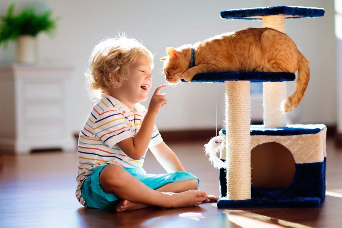 DIY: Como Fazer uma Escada para Gatos?