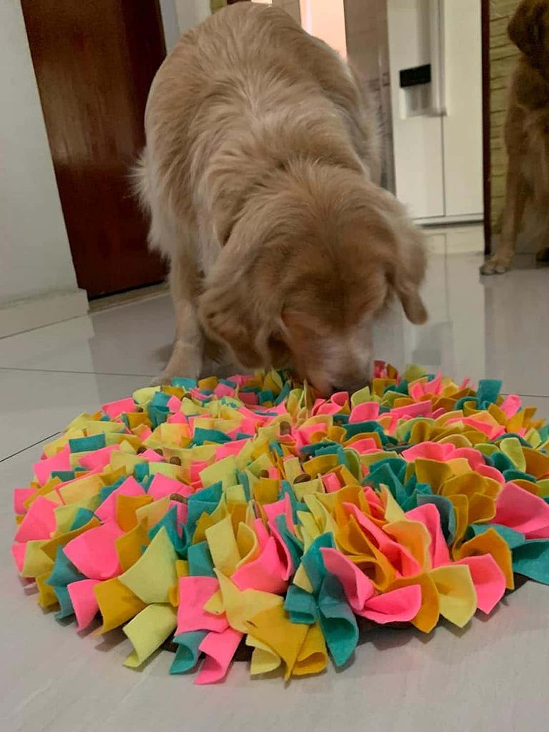Decoração Sustentável: Como Reciclar Objetos para o Uso do seu Pet 8 DIY: Como Fazer um Tapete de Atividades para Gatos!