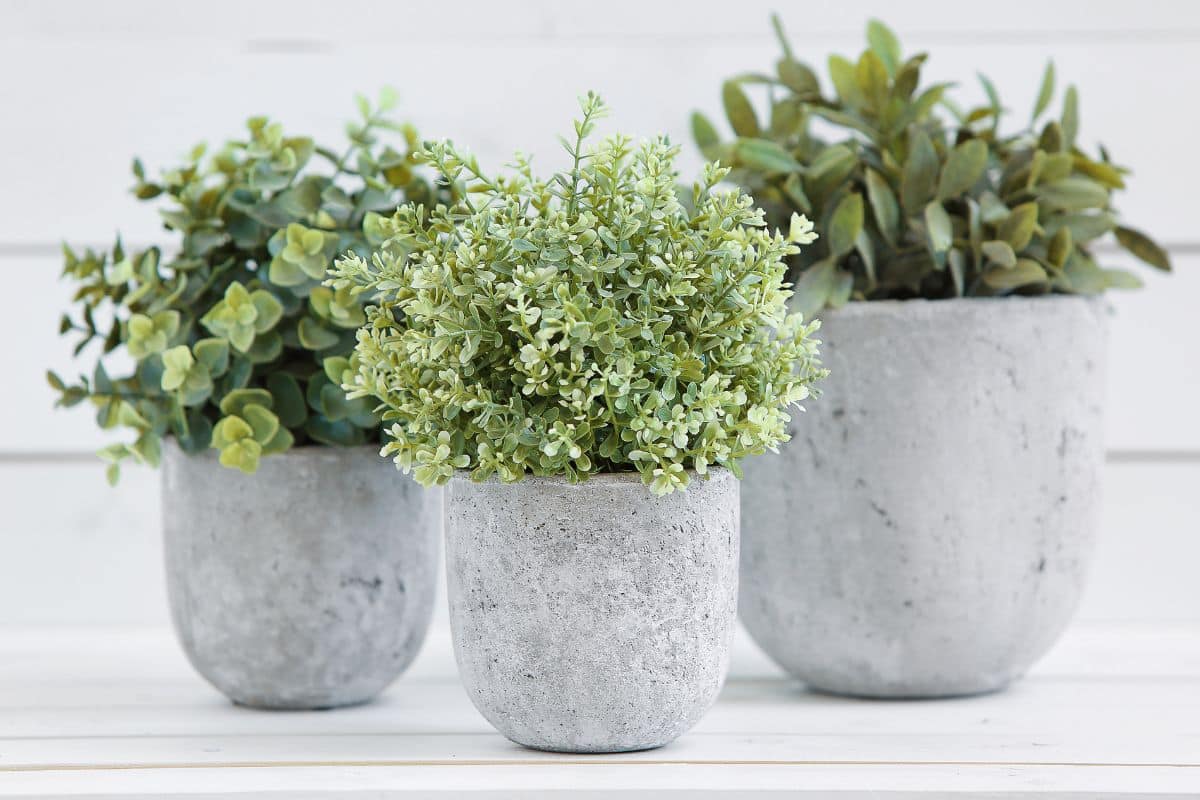 DIY: Como Fazer Vasos de Plantas Decorativos com Concreto