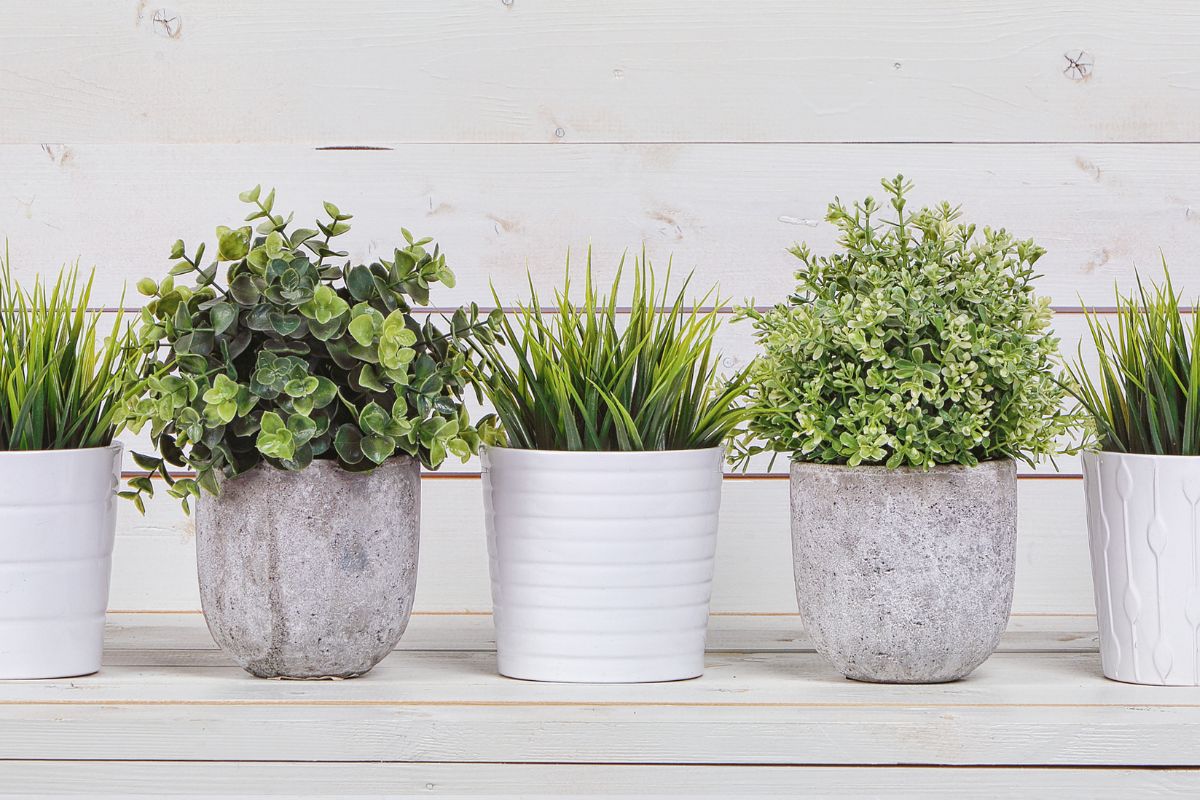DIY: Como Fazer Vasos de Plantas Decorativos com Concreto