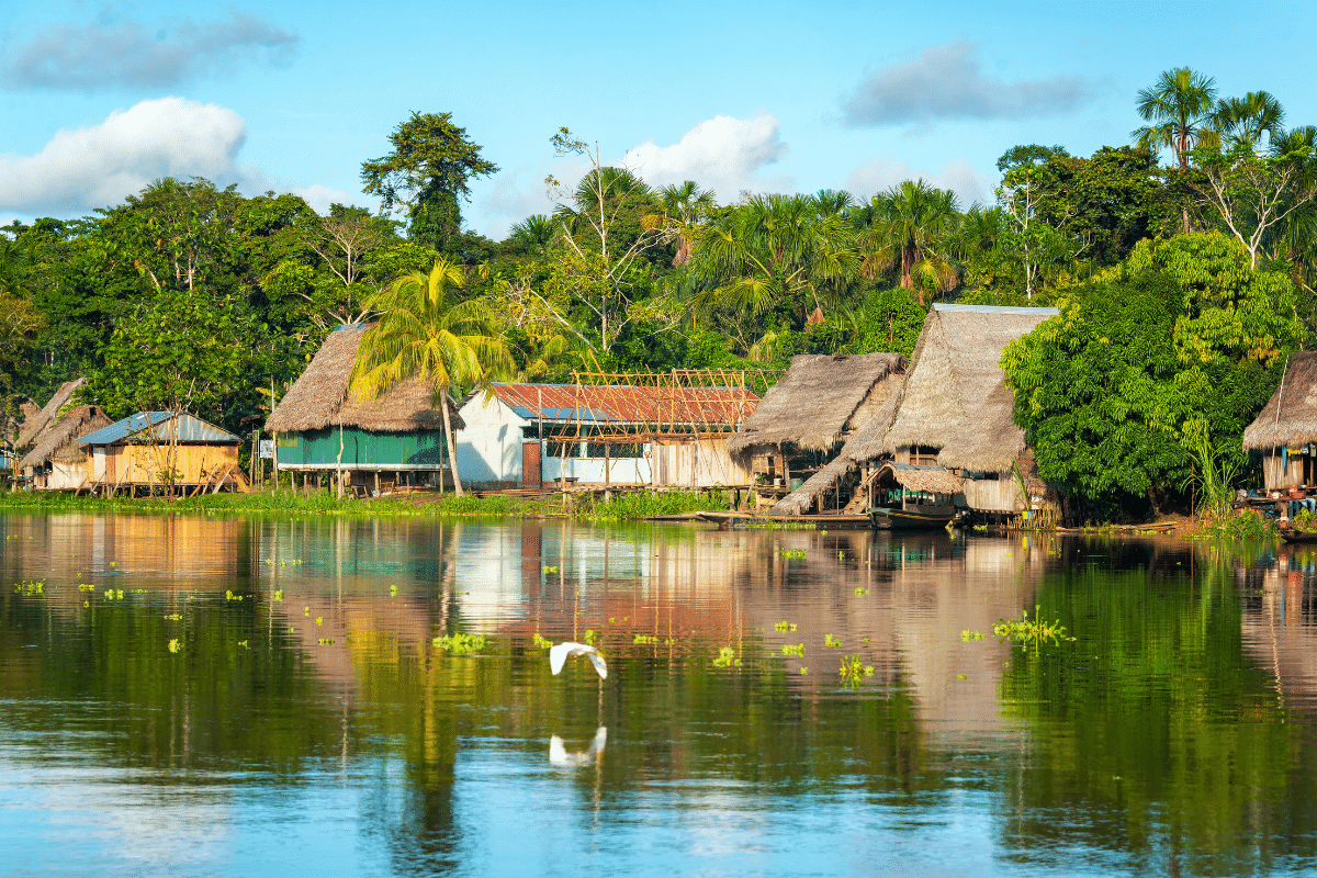 5 Curiosidades Sobre Manaus Que Você Precisa Saber 5 Curiosidades Sobre Amazonas Que Você Precisa Saber