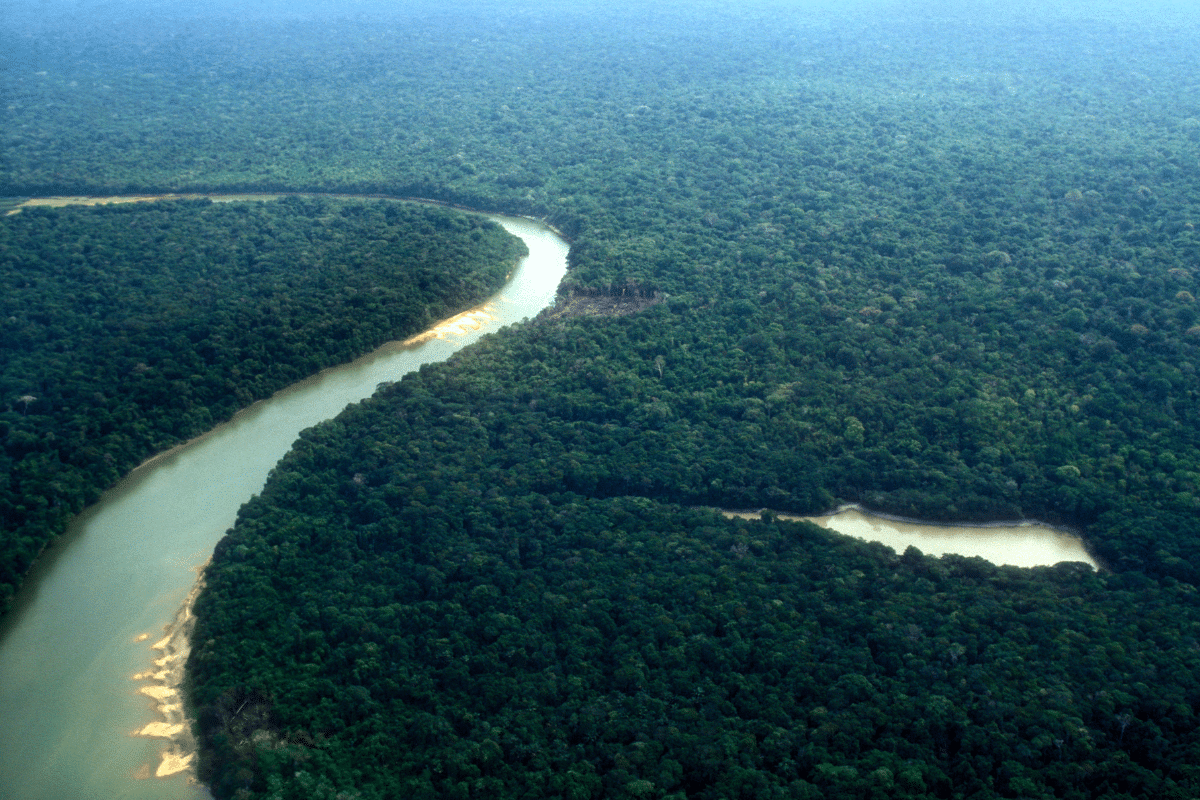 5 Curiosidades Sobre Manaus Que Você Precisa Saber 5 Curiosidades Sobre Amazonas Que Você Precisa Saber