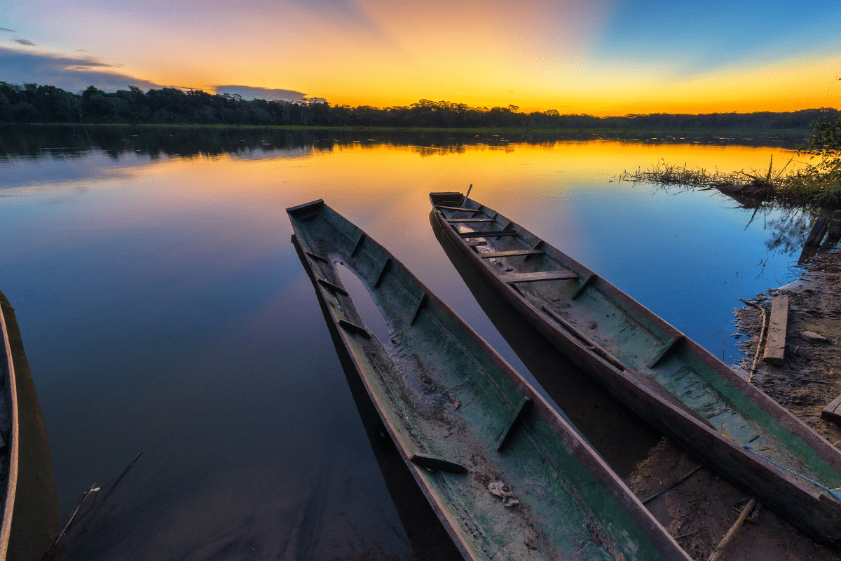 5 Curiosidades Sobre Manaus Que Você Precisa Saber 1 5 Curiosidades Sobre Amazonas Que Você Precisa Saber